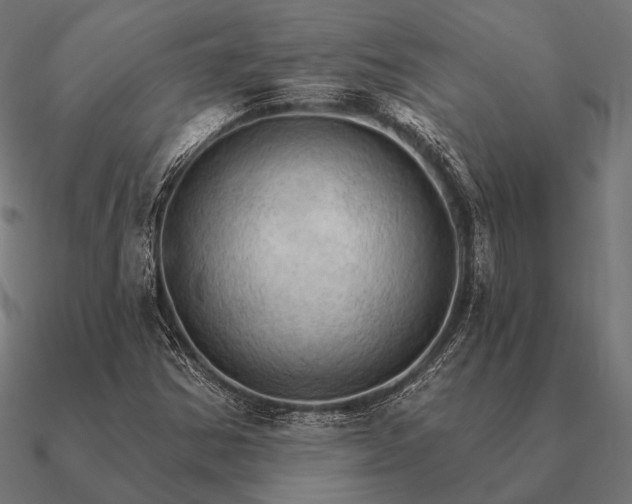 X0000090911354200708061515