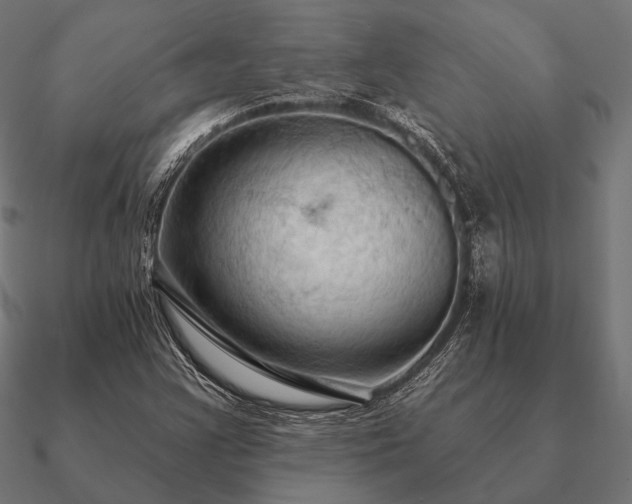 X0000090911355200708061515