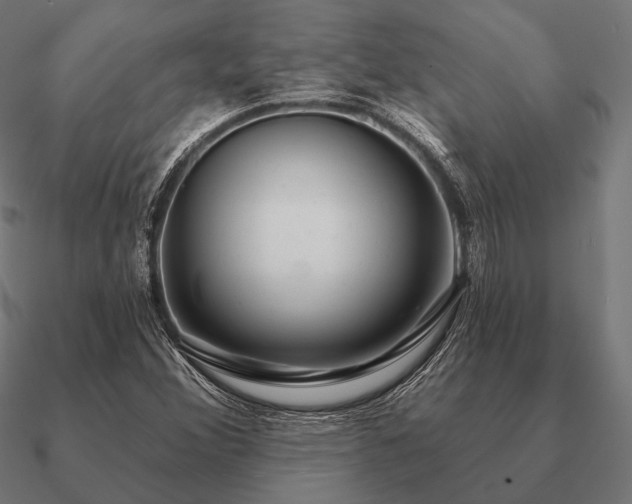 X0000090911356200708061515