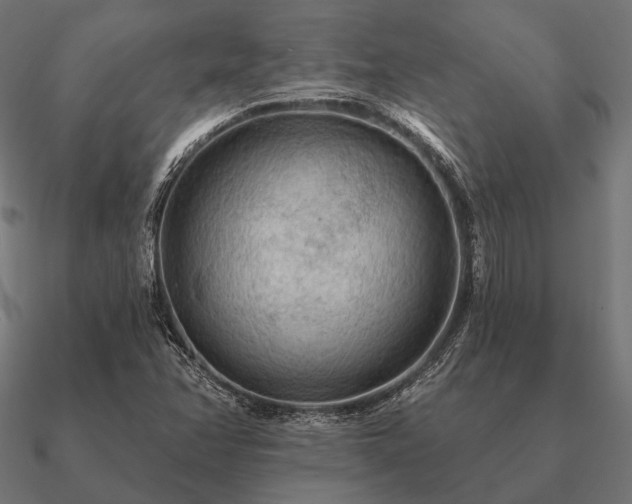 X0000090911358200708061515