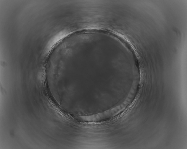 X0000090911359200708061515