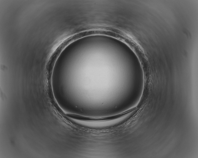 X0000090911360200708061515