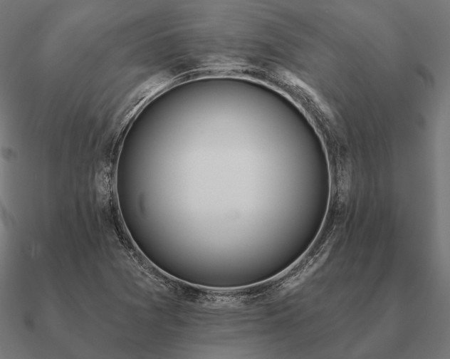 X0000090911361200708061515