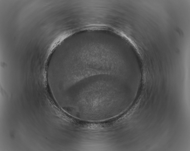 X0000090911362200708061515