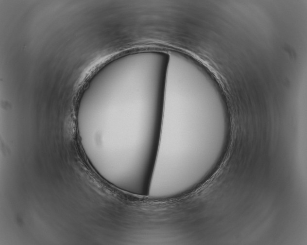 X0000090911363200708061514