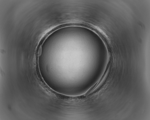 X0000090911364200708061514