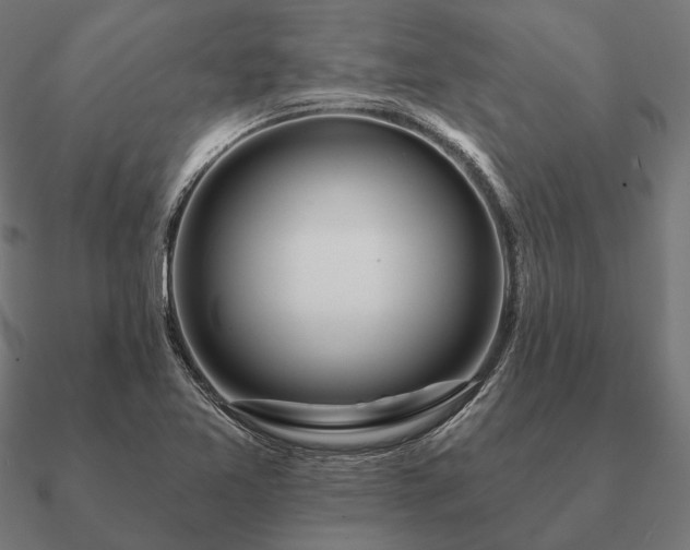 X0000090911365200708061514