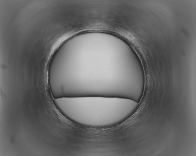 X0000090911366200708061514