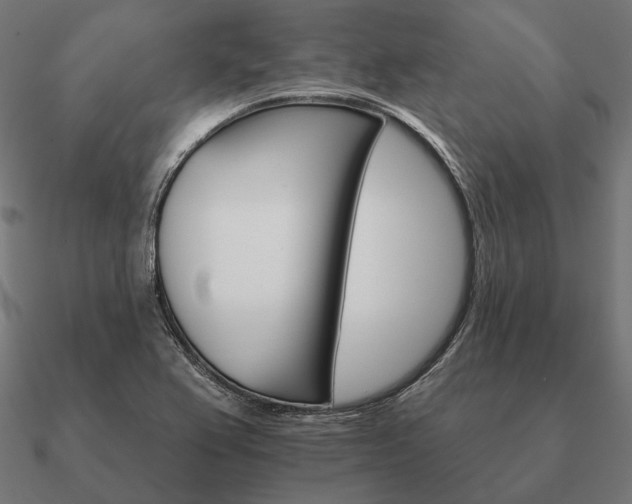 X0000090911367200708061514