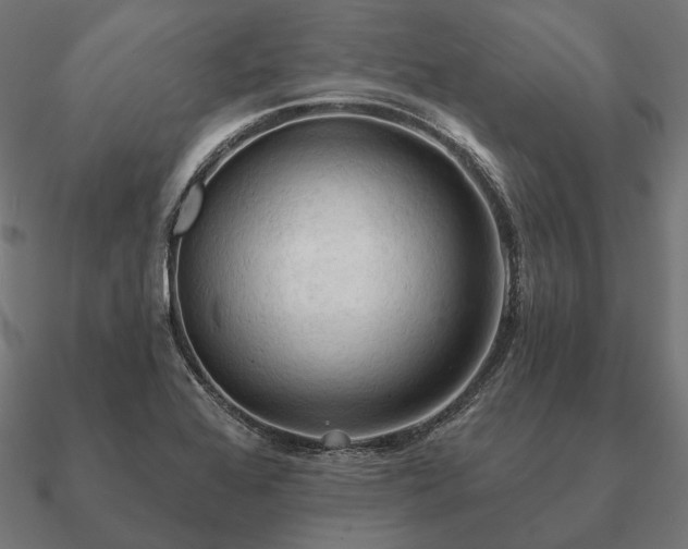 X0000090911368200708061514