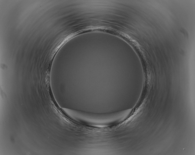 X0000090911369200708061514