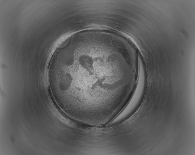 X0000090911371200708061514