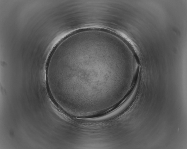 X0000090911372200708061514