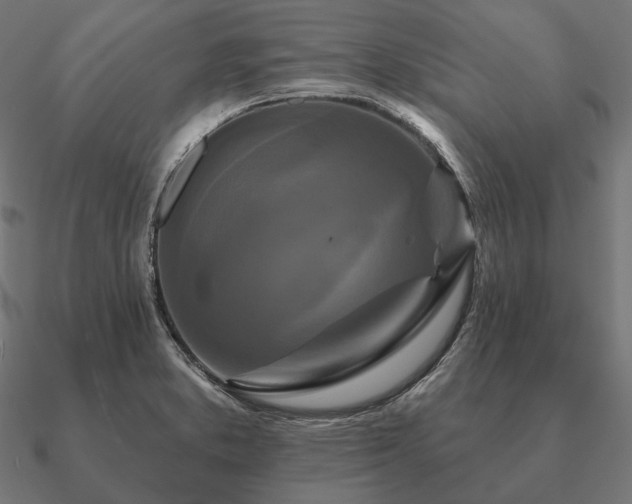 X0000090911373200708061514