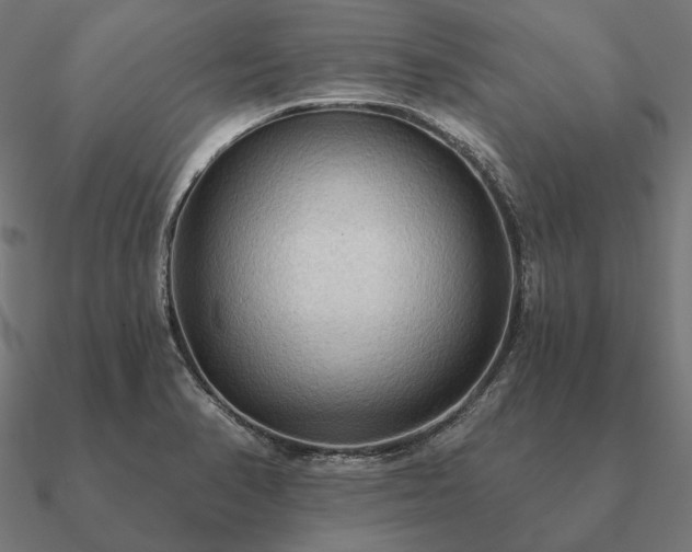 X0000090911374200708061514