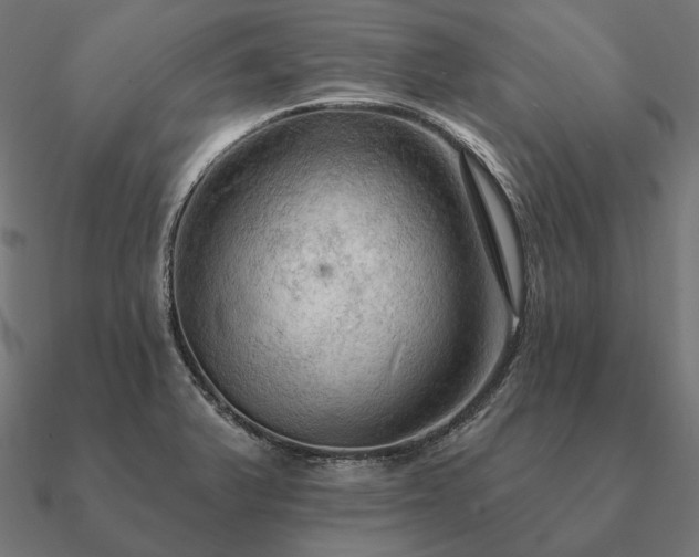 X0000090911375200708061514