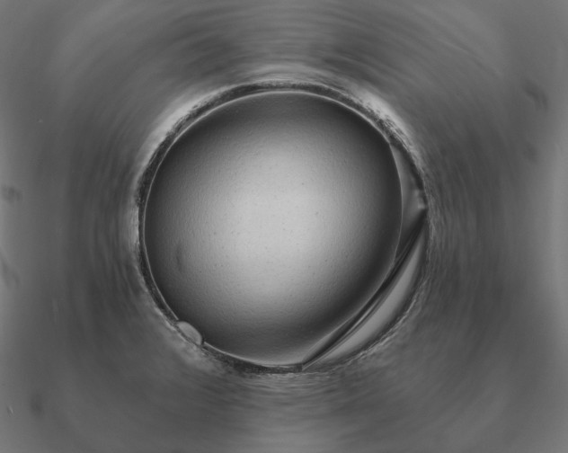 X0000090911376200708061514