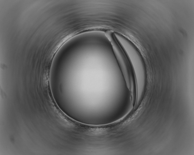 X0000090911377200708061514