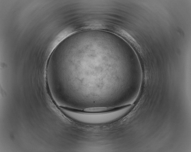 X0000090911378200708061514