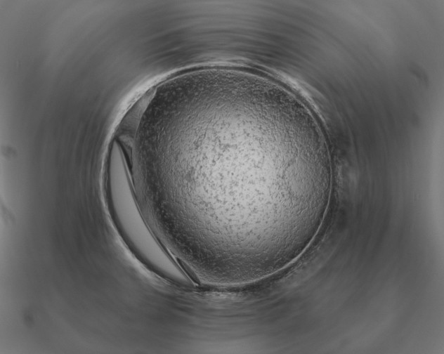 X0000090911379200708061514