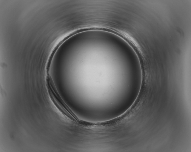 X0000090911380200708061514