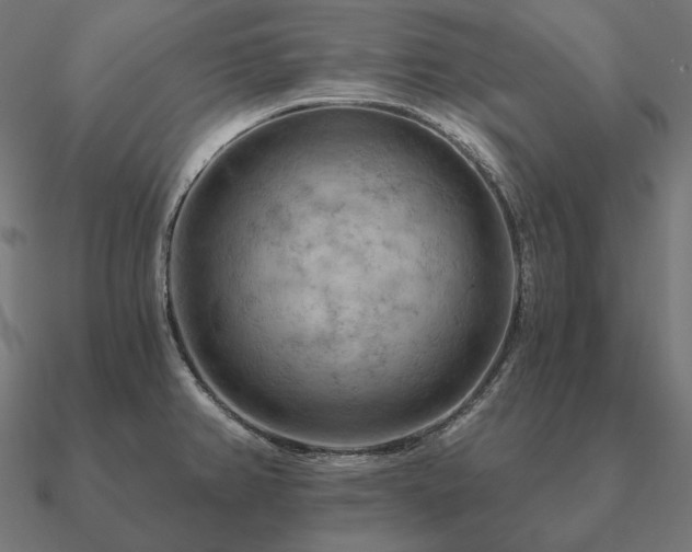 X0000090911382200708061514