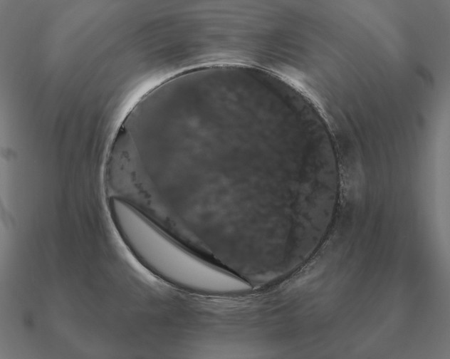 X0000090911383200708061514