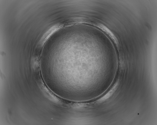 X0000090911385200708061514