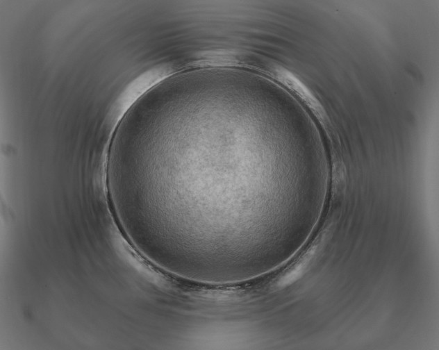 X0000090911386200708061514