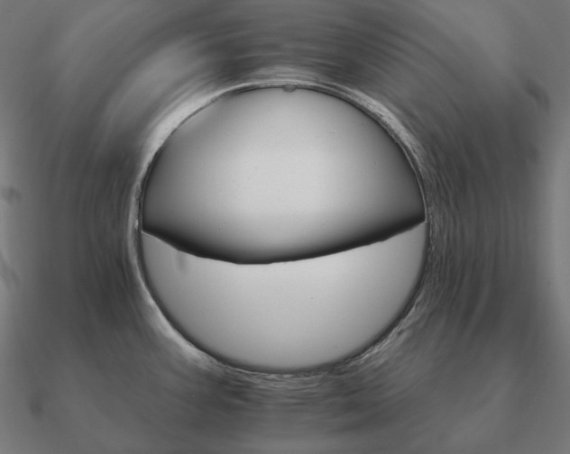 X0000090911387200708061514