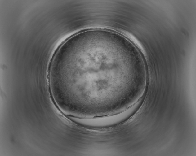 X0000090911388200708061514