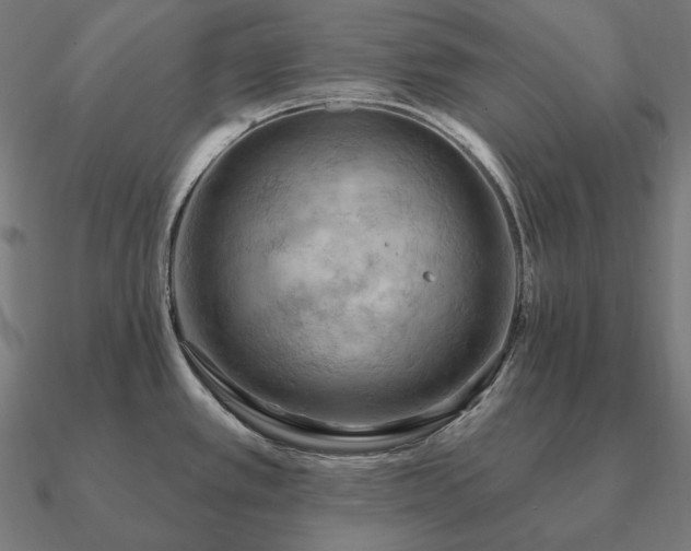 X0000090911389200708061514