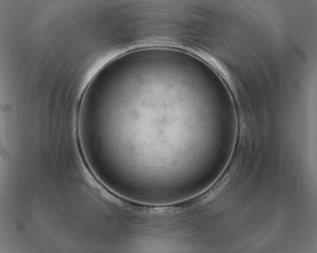 X0000090911390200708061514