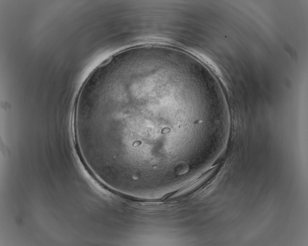 X0000090911391200708061514