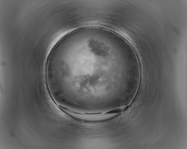 X0000090911392200708061514