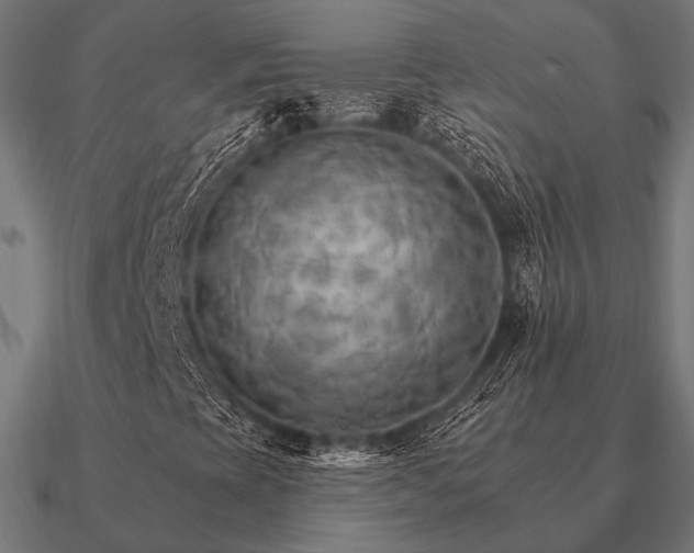 X0000090911393200708061514