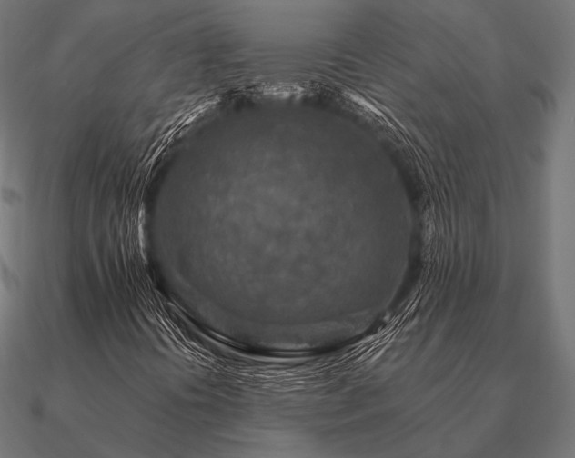 X0000090911394200708061514