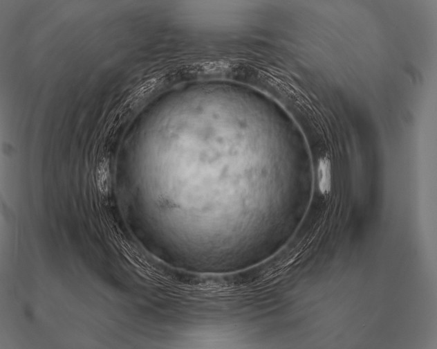 X0000090911395200708061514