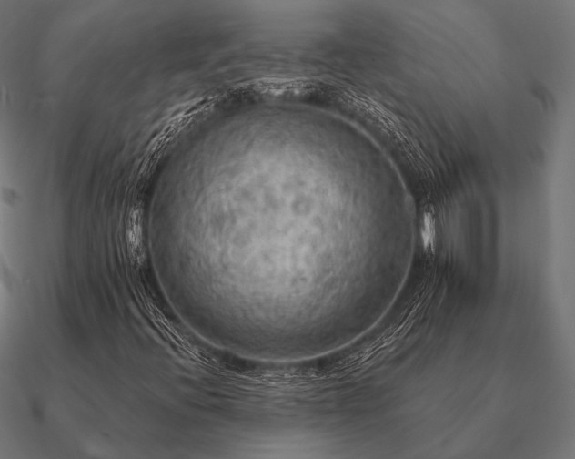 X0000090911396200708061514