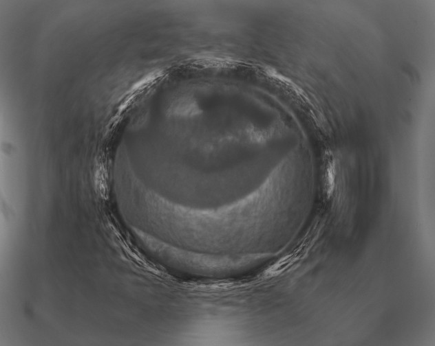 X0000090911397200708061514