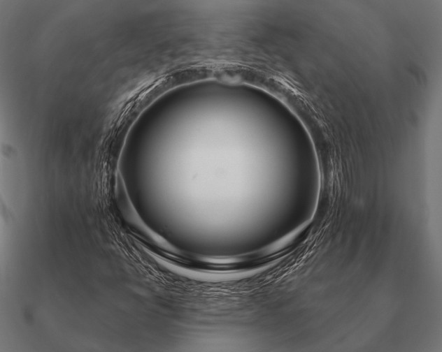 X0000090911398200708061514