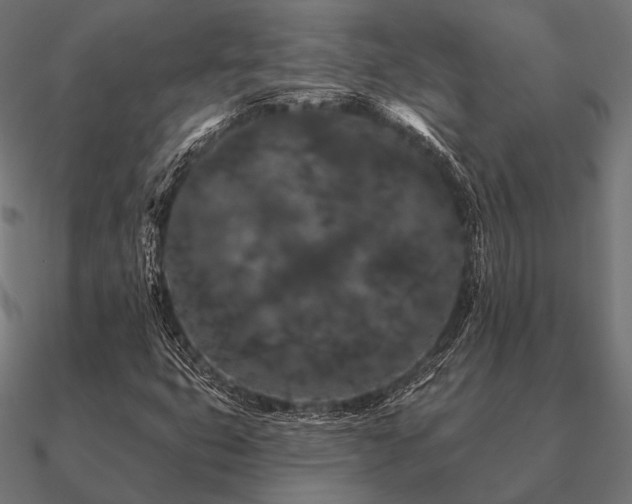 X0000090911399200708061514