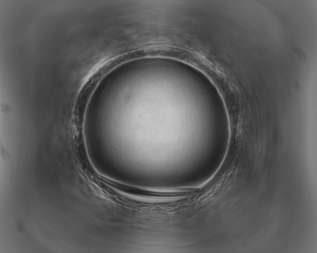 X0000090911400200708061514