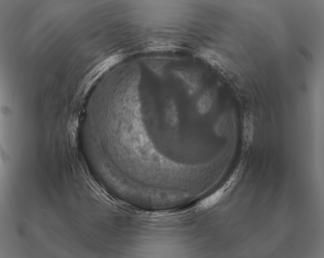 X0000090911401200708061514