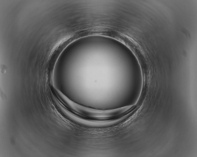 X0000090911402200708061514