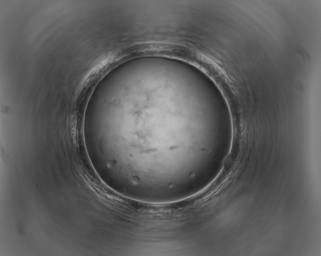 X0000090911403200708061514