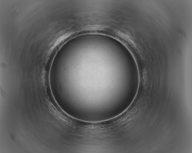 X0000090911404200708061514