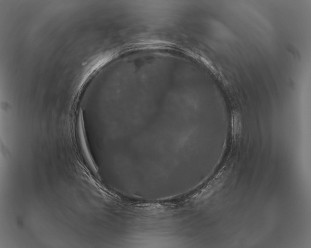 X0000090911405200708061514