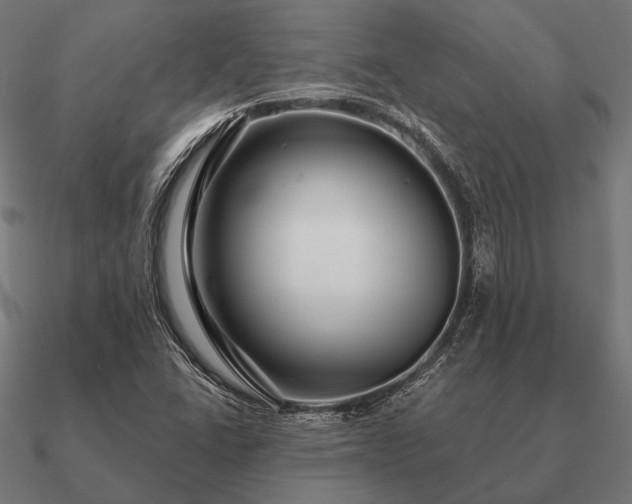 X0000090911406200708061514