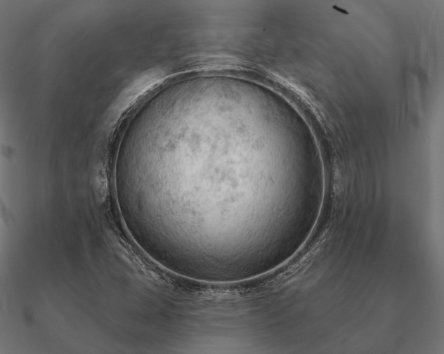 X0000090911407200708061514